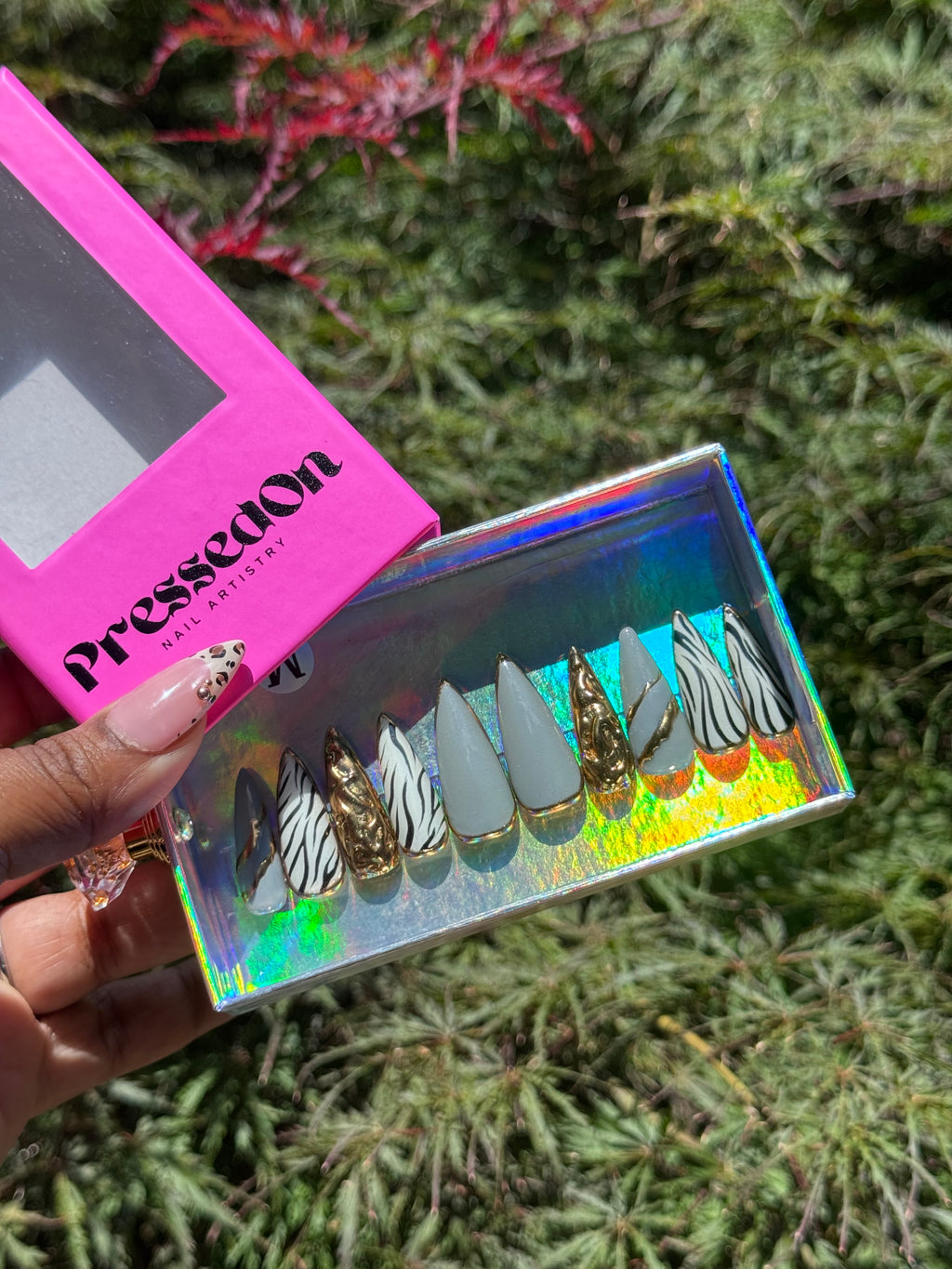 Zebra and Chrome (Medium)