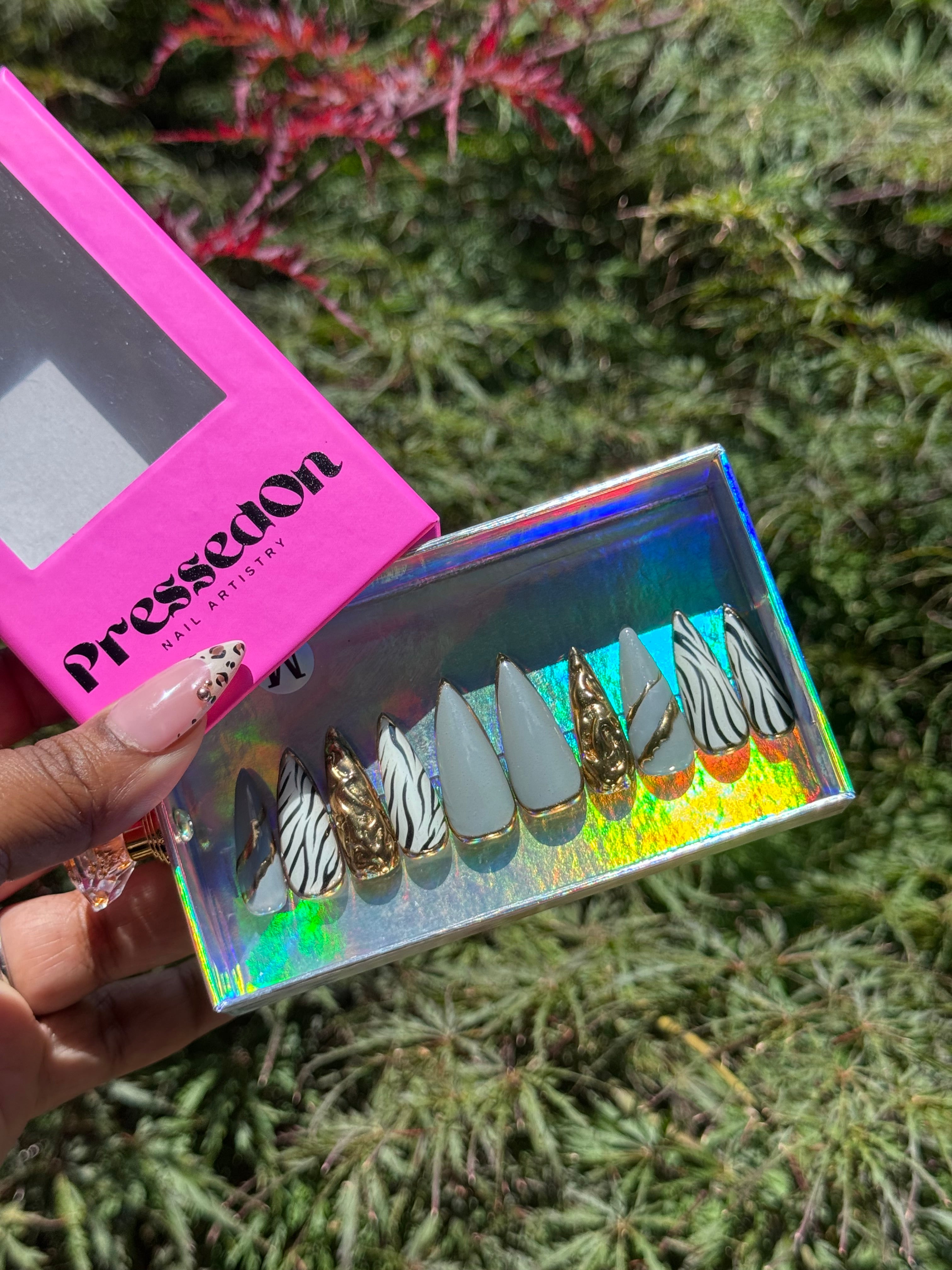 Zebra and Chrome (Medium)