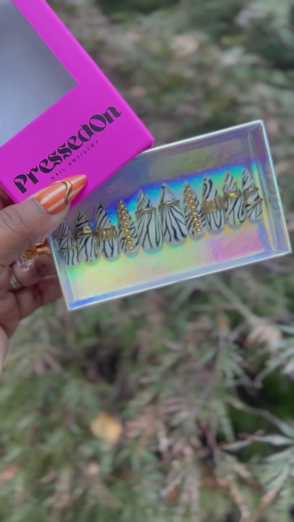 Wild Ambition  (Medium)