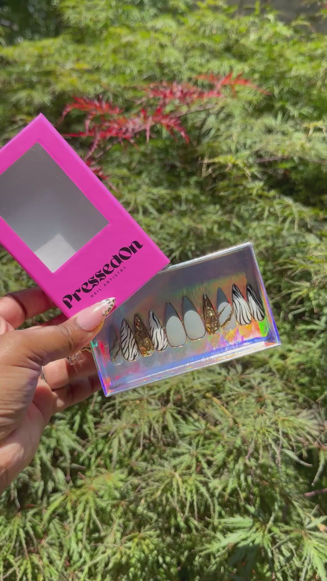 Zebra and Chrome (Medium)